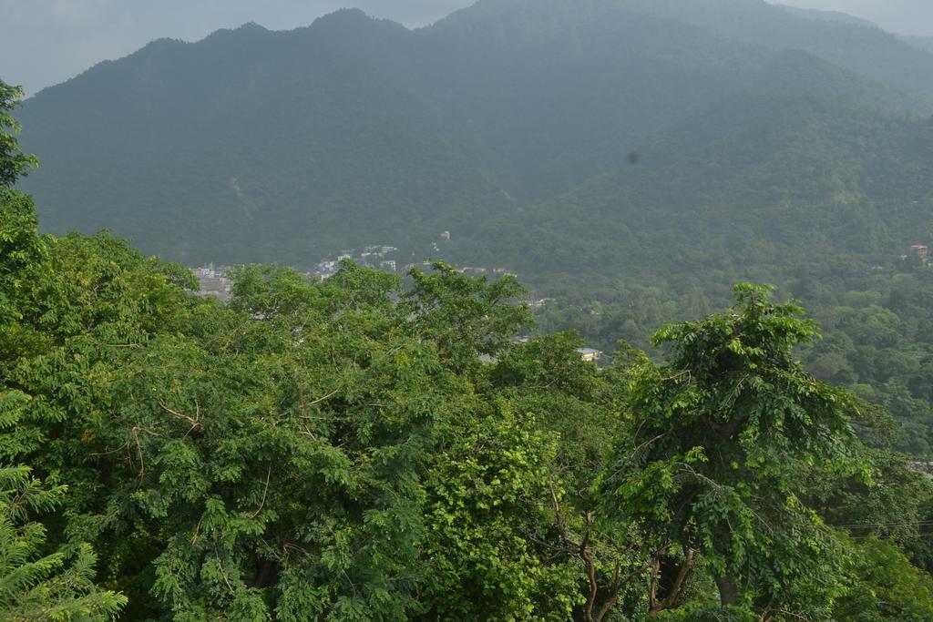 Mount Valley Mama Cottage Rishīkesh Habitación foto